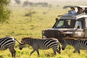 Nairobi National Park Morning Game Drive With Free Pickup