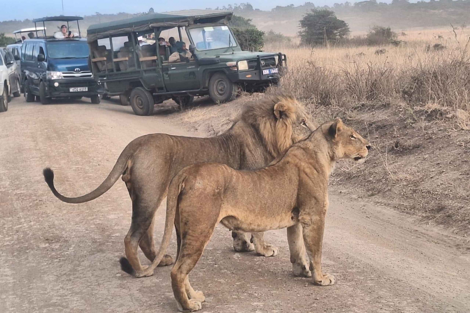 Nairobi National Park Morning Game Drive