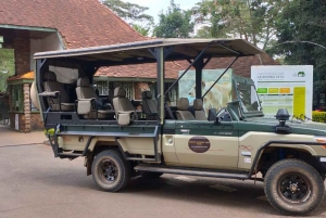 Nairobi National Park Morgen Game Drive