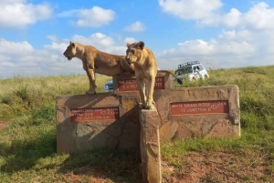 Nairobi National Park Morgen Game Drive