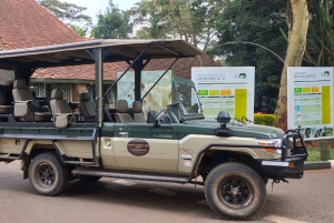 Nairobi National Park Morgen Game Drive