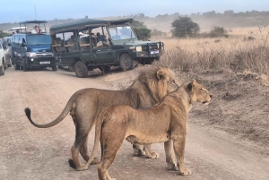 Nairobi National Park Morgen Game Drive