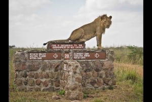 Nairobi National Park Morgen Game Drive