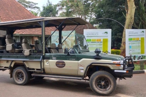Nairobi National Park Morgen Game Drive