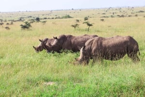 Nairobi nationalpark: Privat tur i en 4X4 Landcruiser