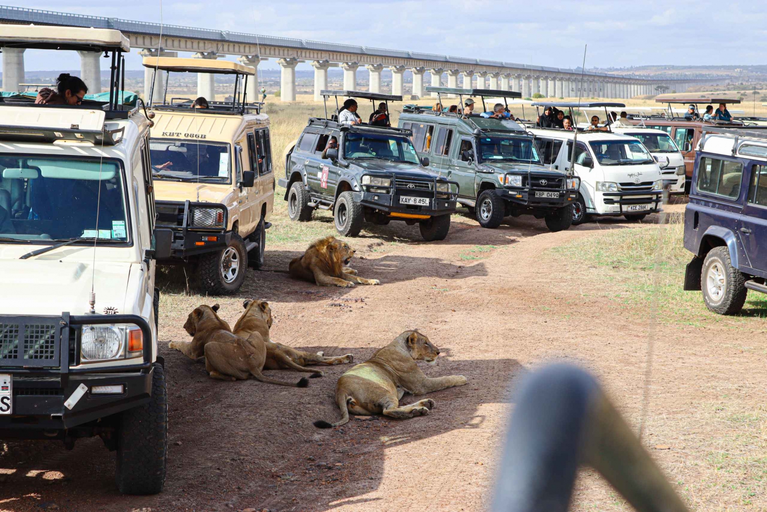 Nairobi National Park Private Tour in a 4x4