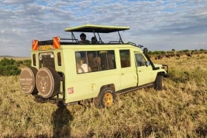 Nairobi National Park Safari - Half Day Game Drive