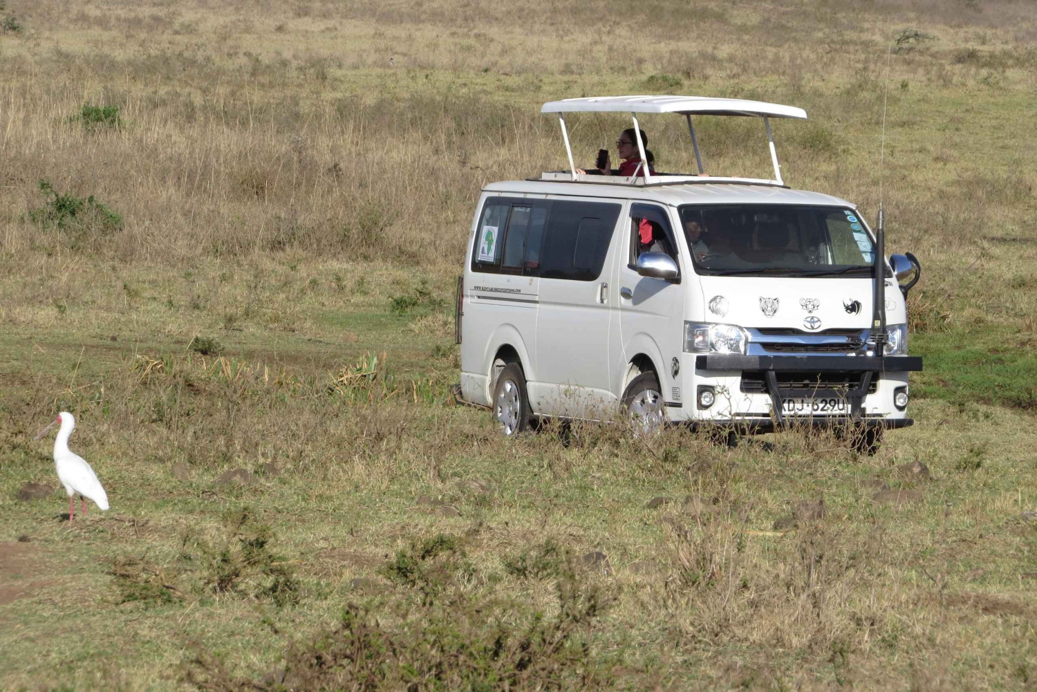 Nairobi National Park tur i liten grupp