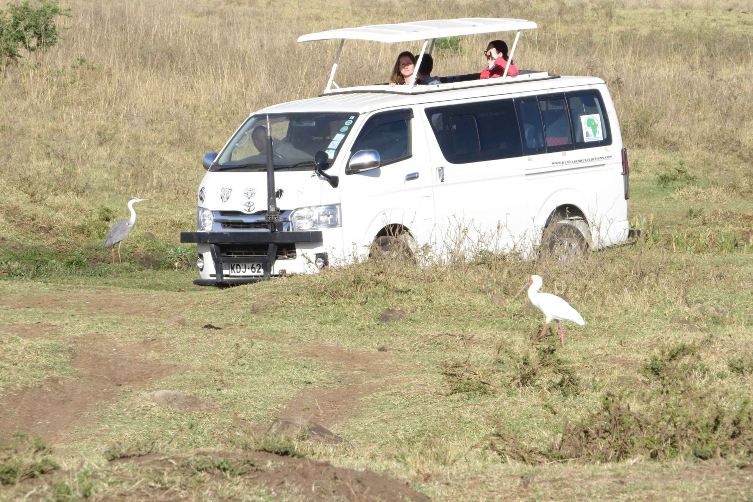 Nairobin kansallispuisto: Auringonnousu- ja auringonlaskukierrokset