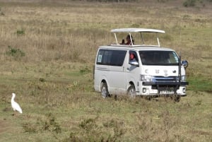Parque Nacional de Nairobi: Excursiones al amanecer y al atardecer