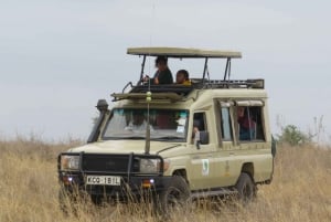 Parque Nacional de Nairobi: Excursiones al amanecer y al atardecer