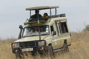 Nairobi nationalpark: Ture ved solopgang og solnedgang