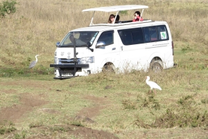 Nairobin kansallispuisto: Auringonnousu- ja auringonlaskukierrokset