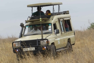 Nairobin kansallispuisto: Auringonnousu- ja auringonlaskukierrokset