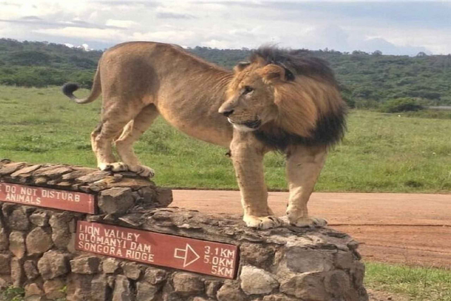 Nairobi: safari al amanecer por el Parque Nacional