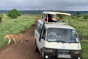 Nairobi : safari au lever du soleil dans le parc national