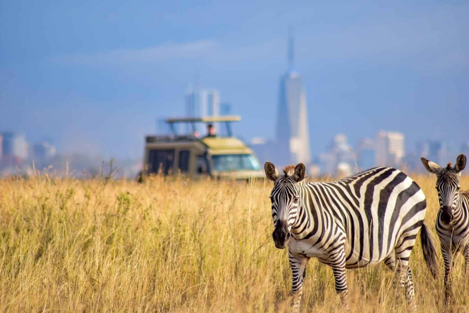 Nairobi National Park Sunrise or Sunset Game Drive