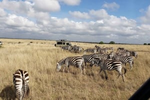 Parc national de Nairobi : options de safaris au lever ou au coucher du soleil