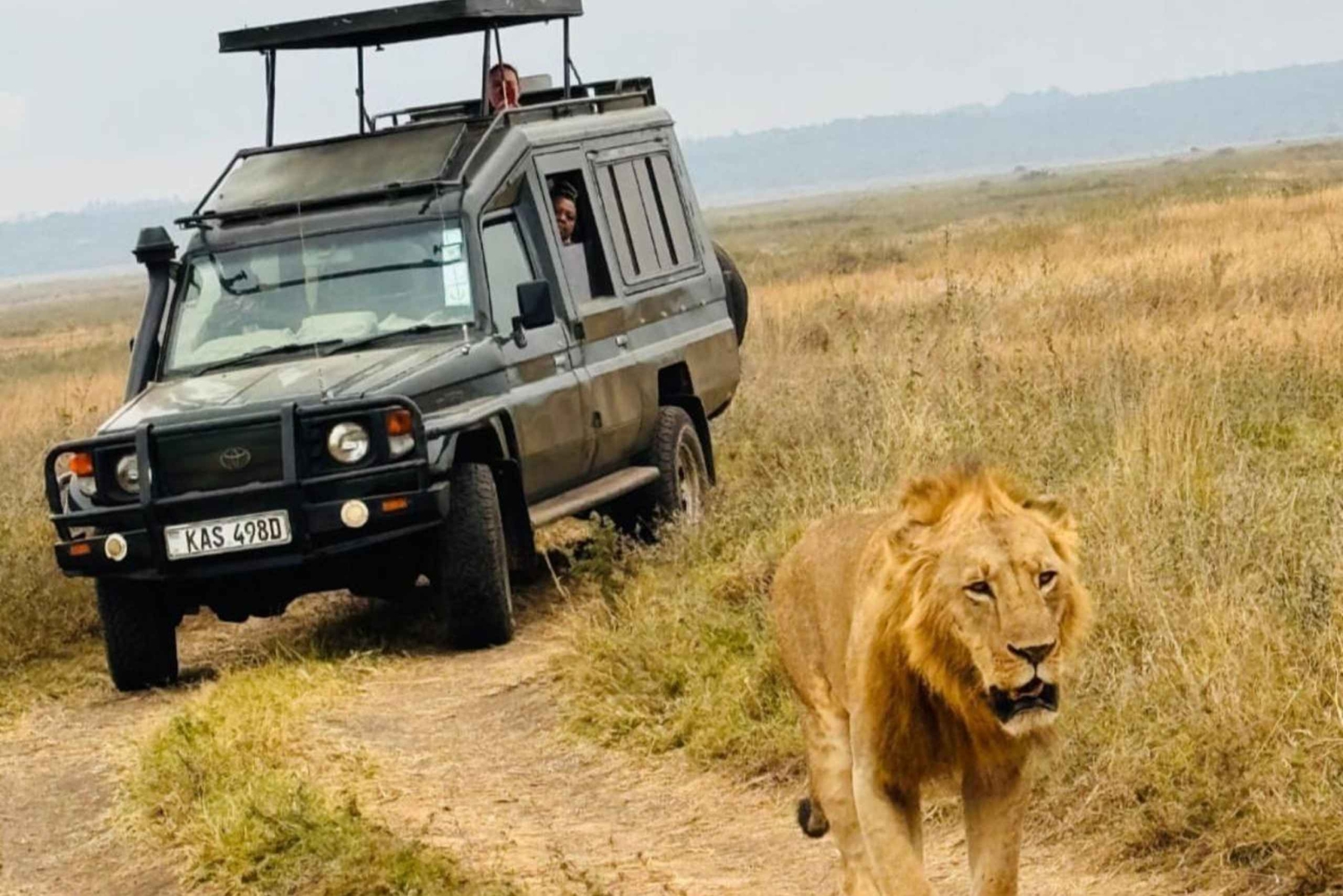Национальный парк Найроби: экскурсия на полдня