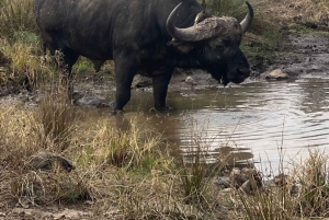 Национальный парк Найроби: экскурсия на полдня