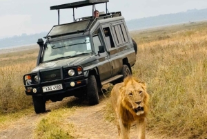 Национальный парк Найроби: экскурсия на полдня