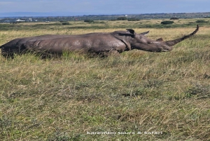 Nairobi National Park Half-Day Tour