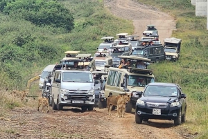 Nairobi National Park Half-Day Tour