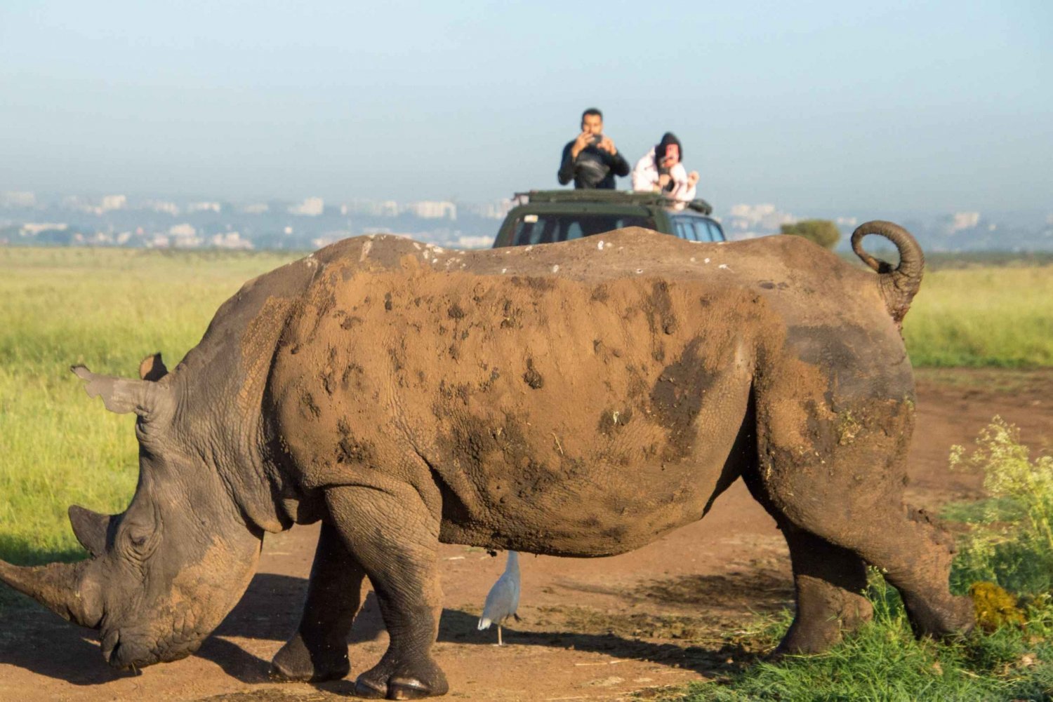 Nairobi National Park: with an open pop roof jeep