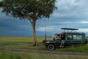 Nairobi National Park: with an open pop roof jeep