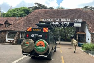 Nairobin kansallispuisto: avoimella peltikattoisella jeepillä