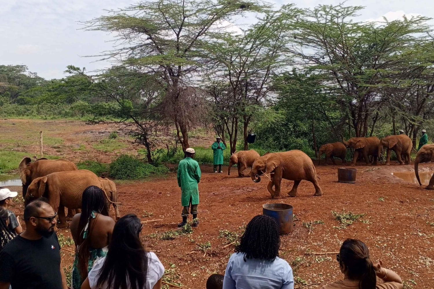 Nairobi Nationalpark