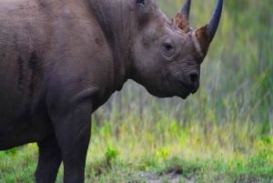 Nairobi Nationalpark