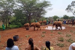 Nairobi Nationalpark