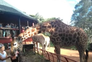 Nairobi Nationalpark