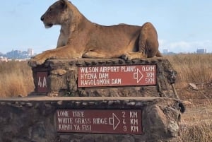 Nairobi NationalPark,Sheldrick Wildlife Trust&Giraffe Center