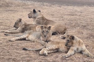 Nairobi NationalPark,Sheldrick Wildlife Trust&Giraffe Center