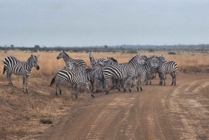 Nairobi NationalPark,Sheldrick Wildlife Trust&Giraffe Center