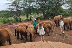 Nairobi NationalPark,Sheldrick Wildlife Trust&Giraffe Center