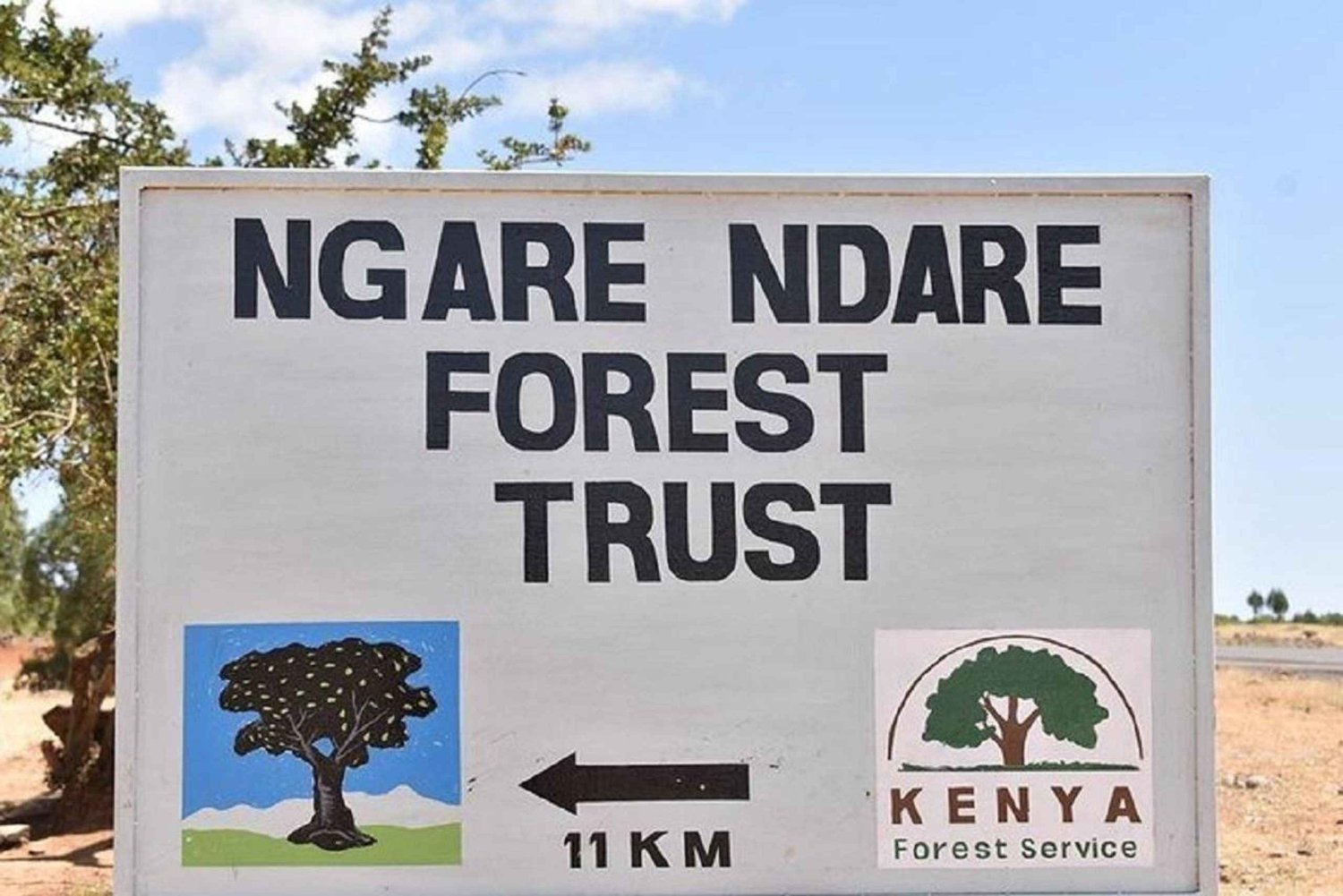 Nairobi: Ngare Ndare Forest Hike och Canopy Walk