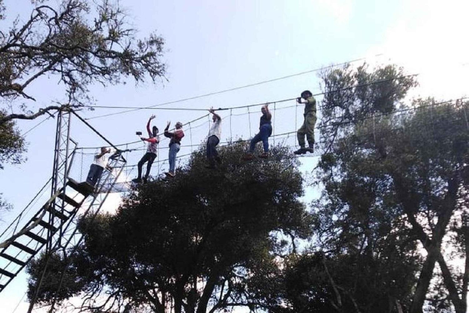 Nairobi : randonnée dans la forêt de Ngare Ndare et Canopy Walk