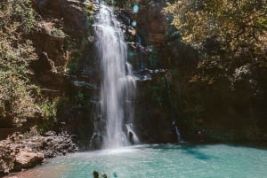 Nairobi : randonnée dans la forêt de Ngare Ndare et Canopy Walk