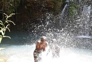 Nairobi : randonnée dans la forêt de Ngare Ndare et Canopy Walk