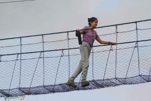 Nairobi : randonnée dans la forêt de Ngare Ndare et Canopy Walk