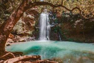 Nairobi : randonnée dans la forêt de Ngare Ndare et Canopy Walk