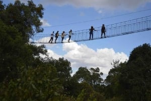 Nairobi : randonnée dans la forêt de Ngare Ndare et Canopy Walk