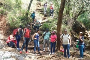 Nairobi : randonnée dans la forêt de Ngare Ndare et Canopy Walk