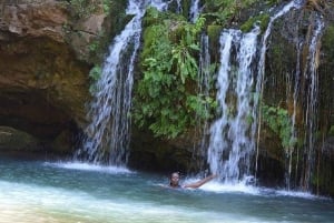 Nairobi : randonnée dans la forêt de Ngare Ndare et Canopy Walk