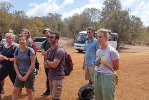 Nairobi : randonnée dans la forêt de Ngare Ndare et Canopy Walk