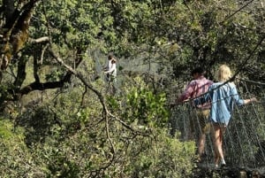 Nairobi : randonnée dans la forêt de Ngare Ndare et Canopy Walk