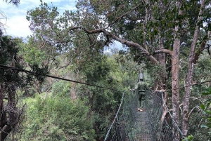 Nairobi : randonnée dans la forêt de Ngare Ndare et Canopy Walk